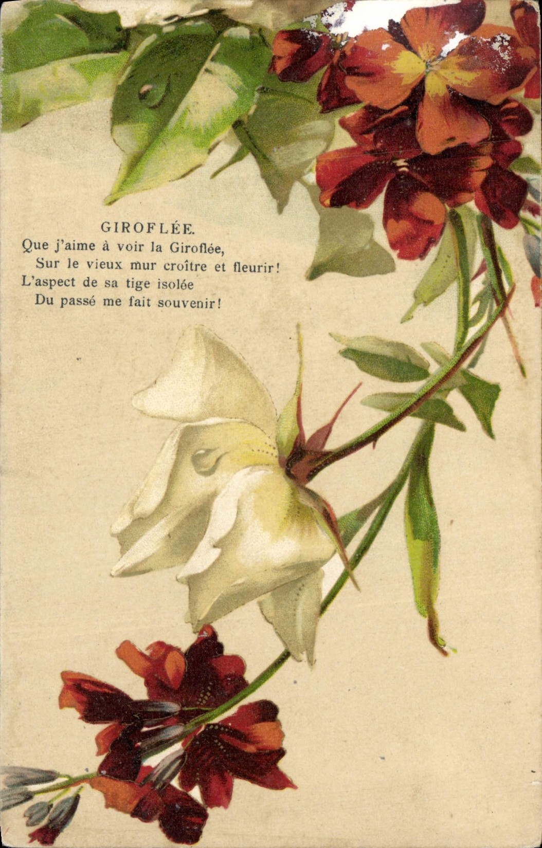 CPA Fantaisie Fleurs 