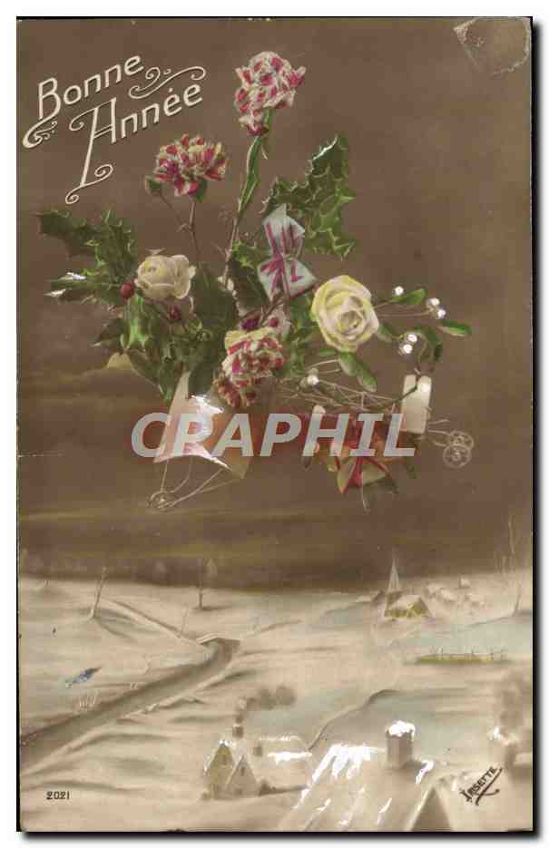 CPA Fantaisie Fleurs Avion