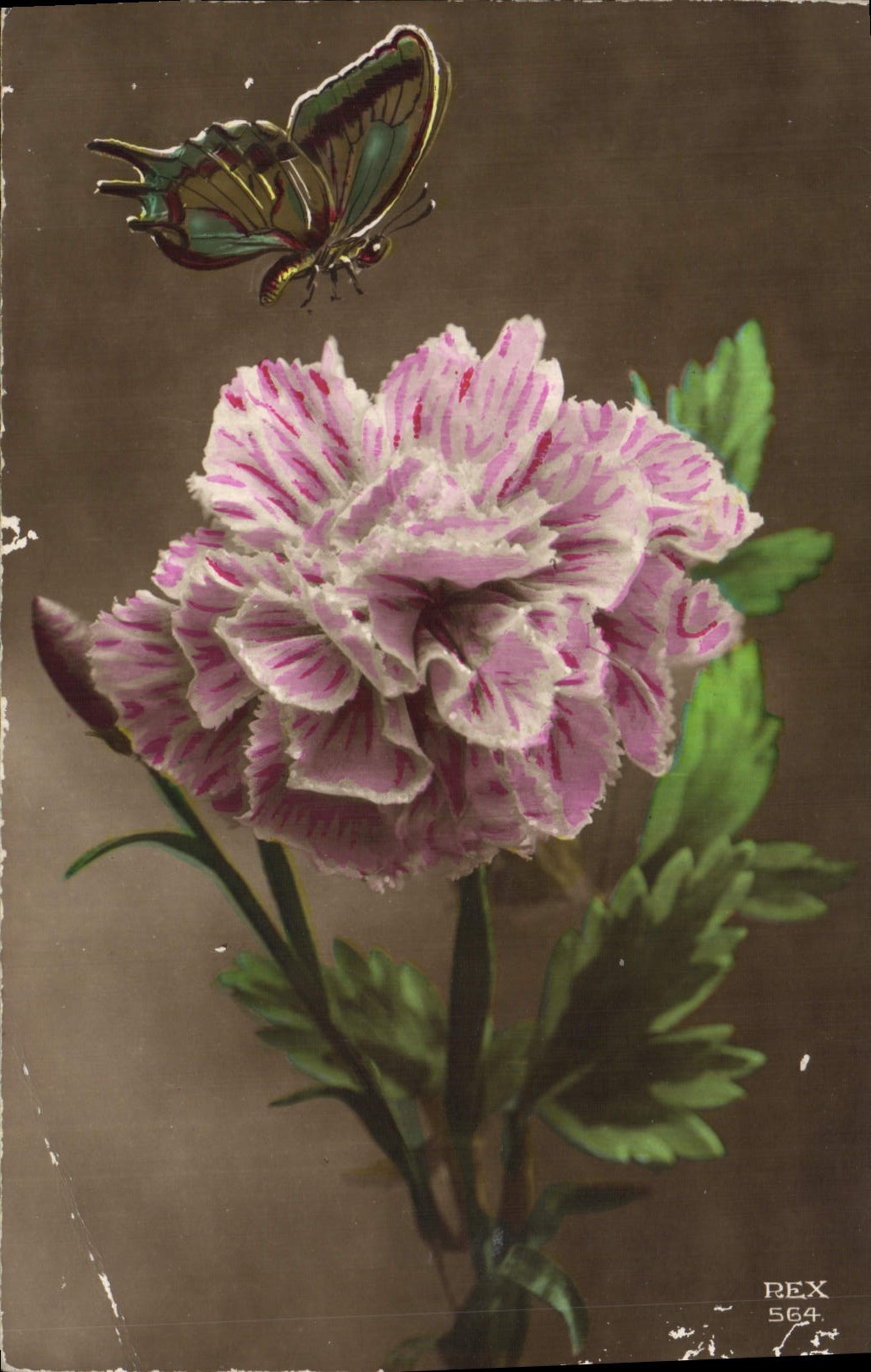 CPA Fantaisie Fleurs Papillon