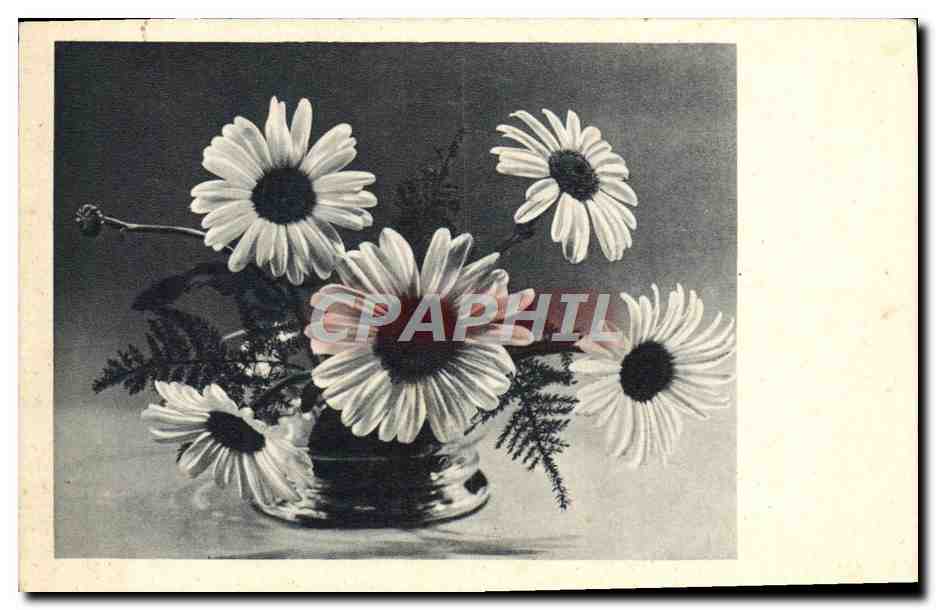 CPA Fantaisie Fleurs 