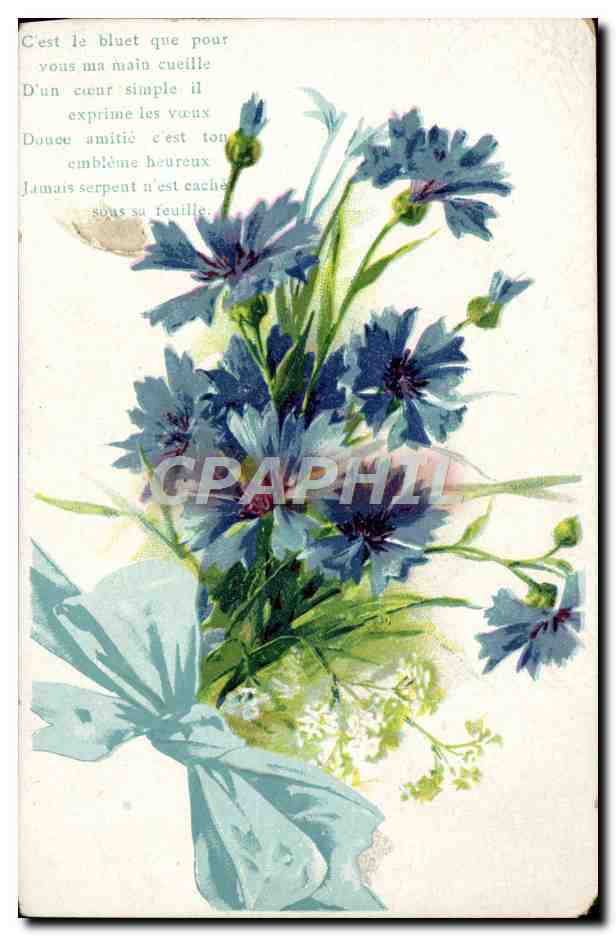 CPA Fantaisie Fleurs 