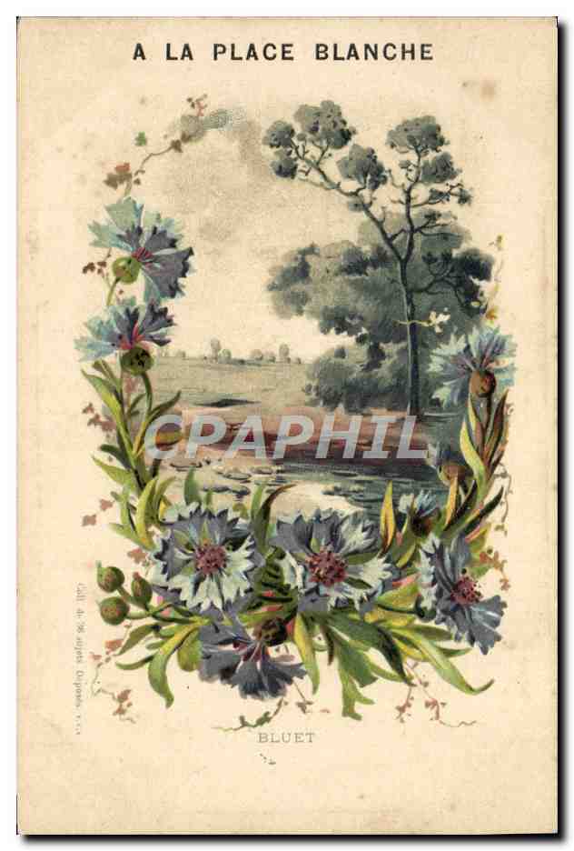 CPA Fantaisie Fleurs 