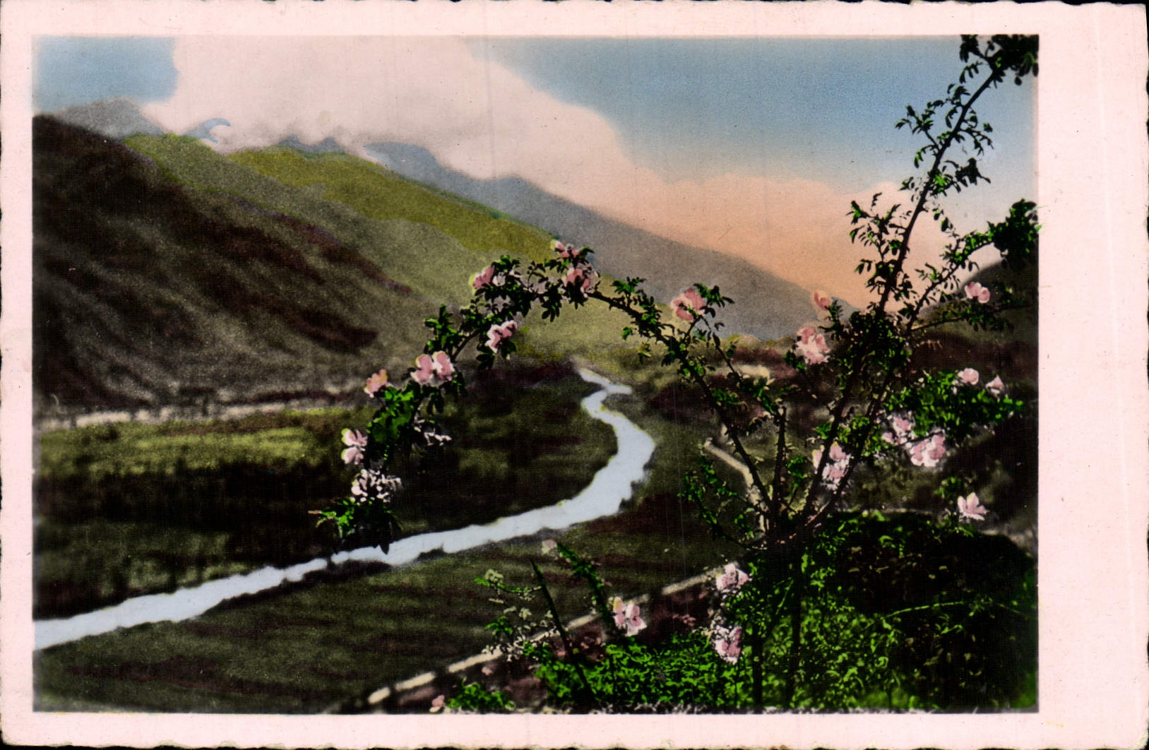 CPA Fantaisie Fleurs 