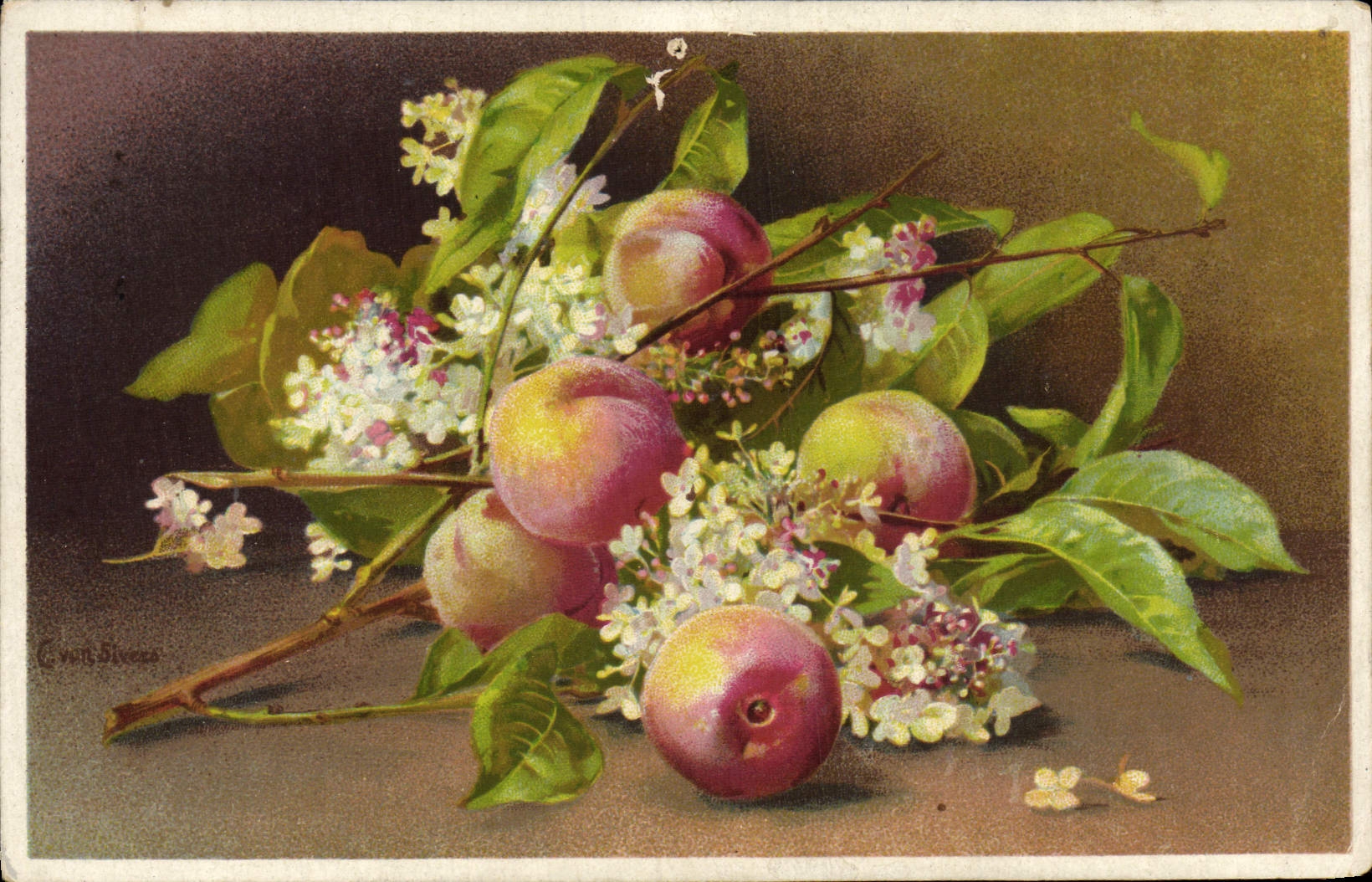 CPA Fantaisie Fleurs 