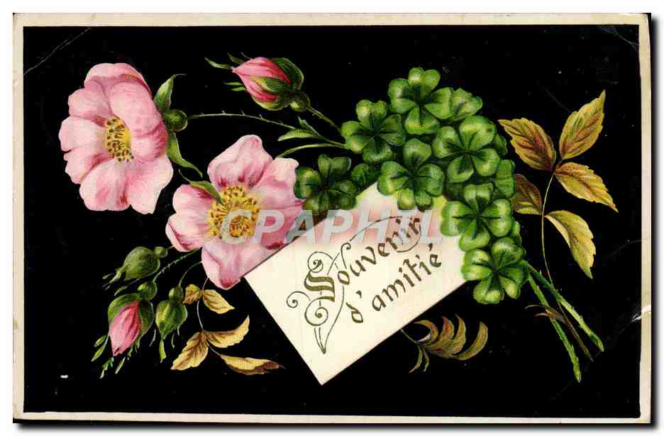 CPA Fantaisie Fleurs Trefles