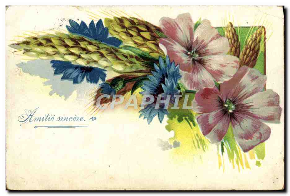 CPA Fantaisie Fleurs 