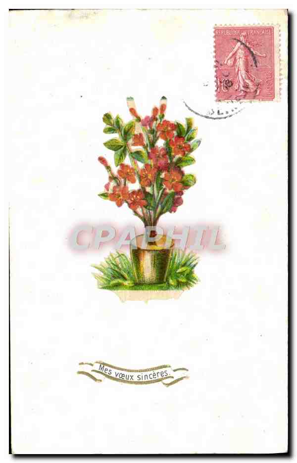 CPA Fantaisie Fleurs 