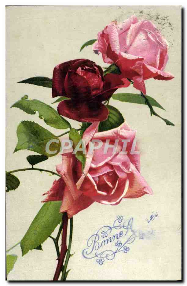 CPA Fantaisie Fleurs 