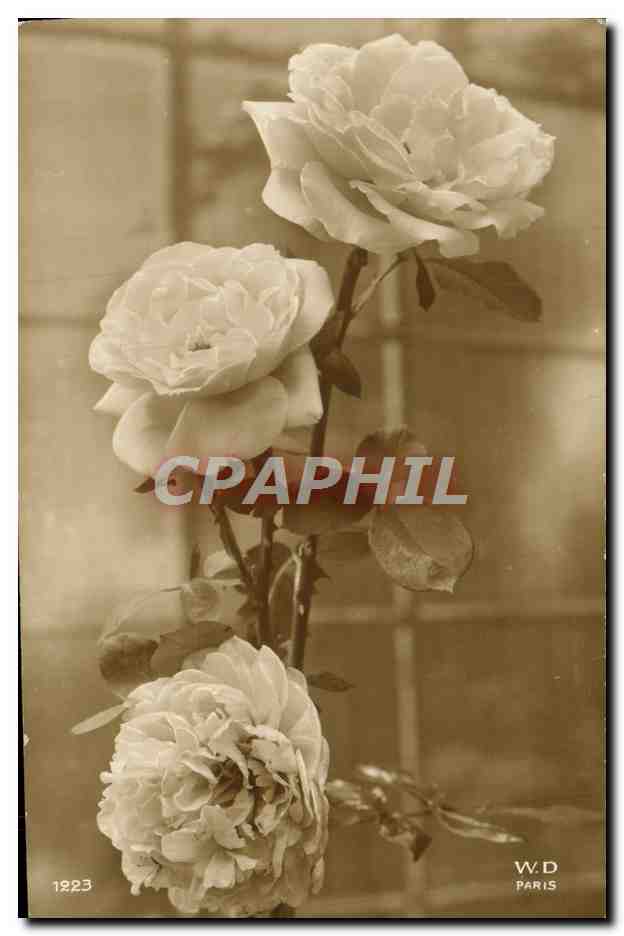 CPA Fantaisie Fleurs 