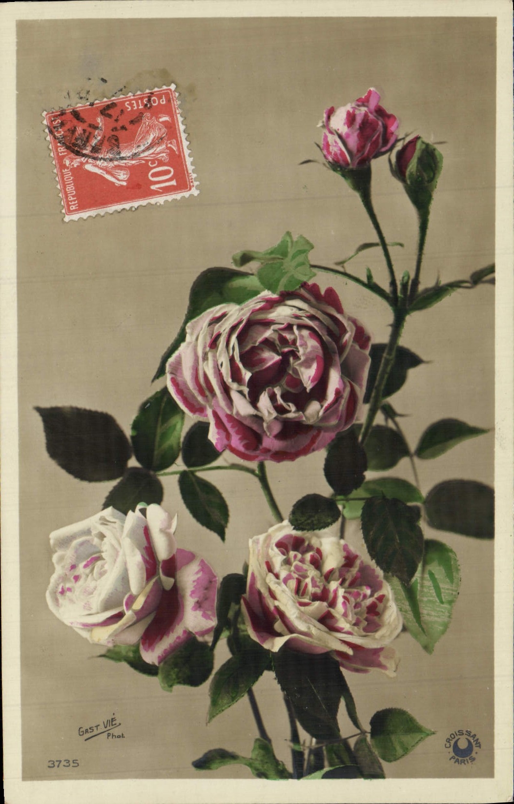 CPA Fantaisie Fleurs 