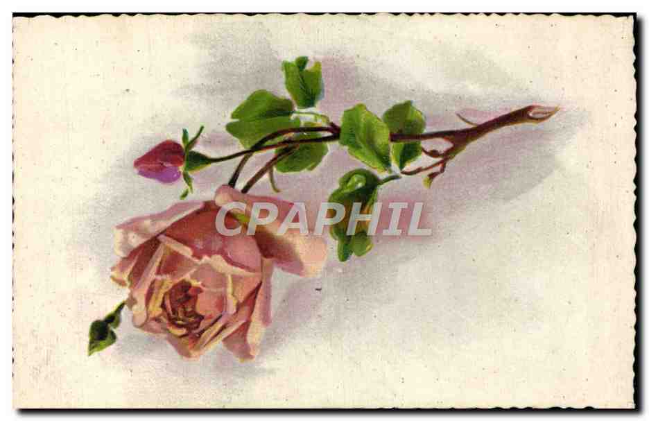 CPA Fantaisie Fleurs 
