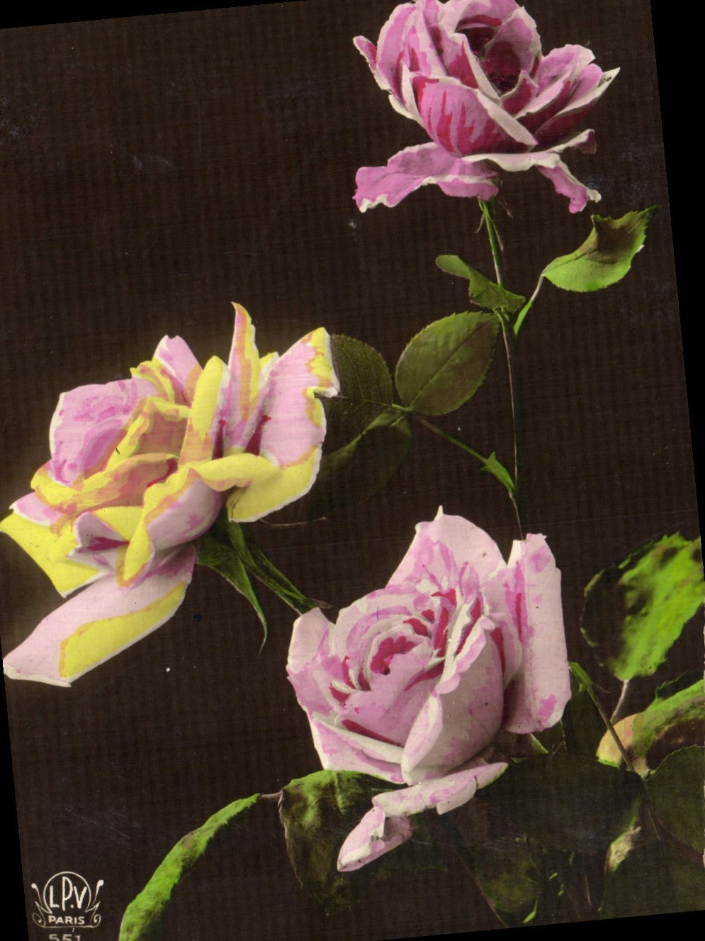 CPA Fantaisie Fleurs 