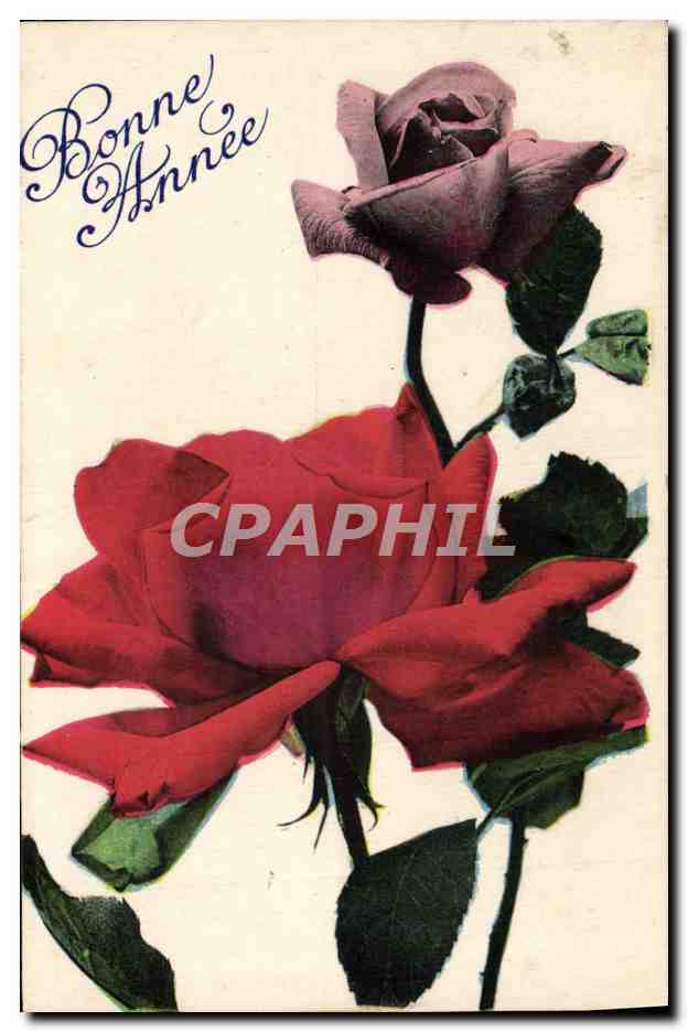 CPA Fantaisie Fleurs 