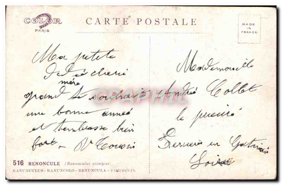 CPA Fantaisie Fleurs  — Verso
