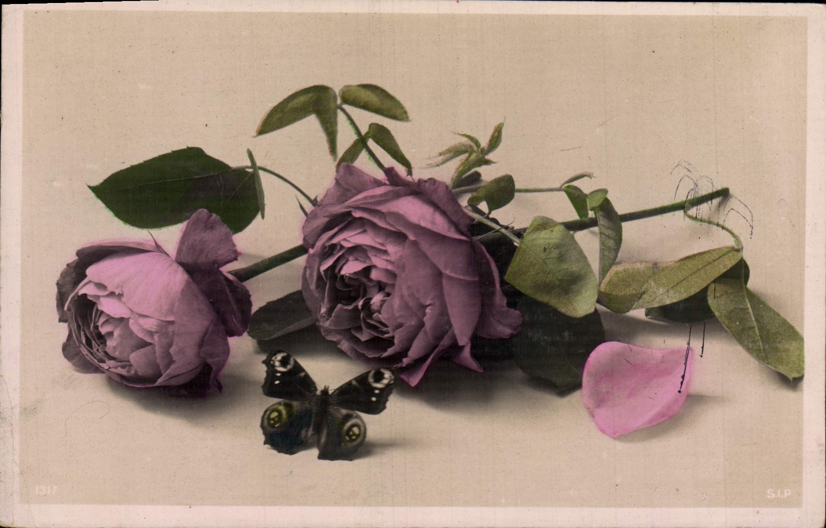 CPA Fantaisie Fleurs Papillon