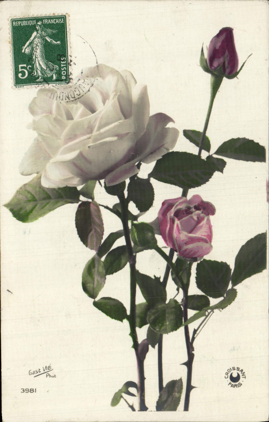 CPA Fantaisie Fleurs Rose