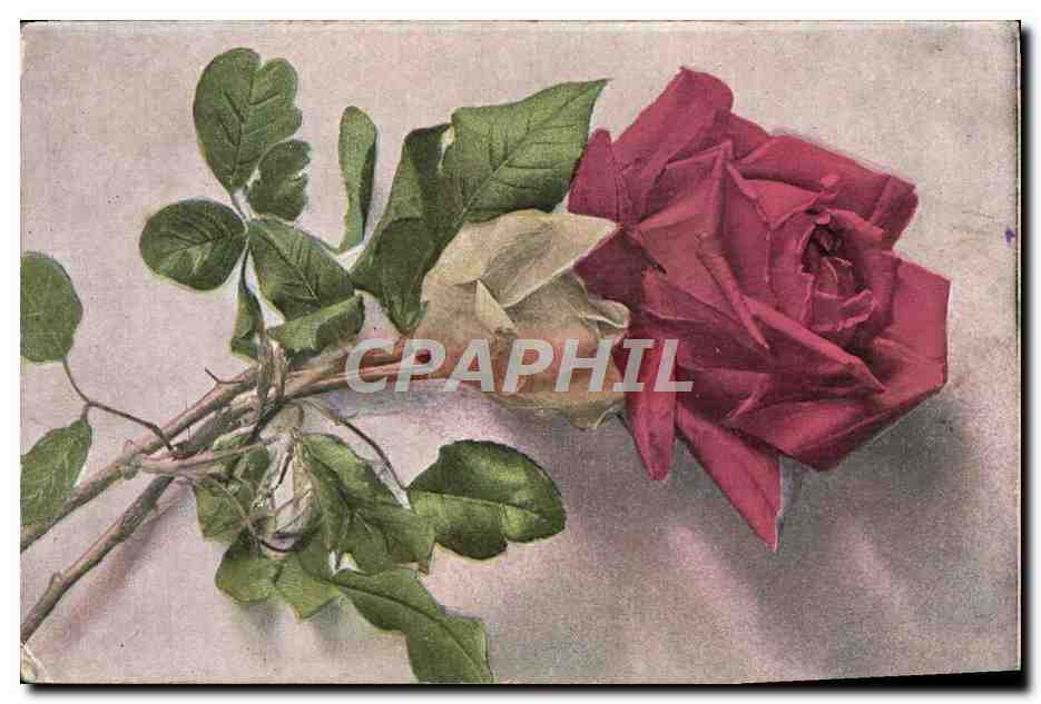 CPA Fantaisie Fleurs 