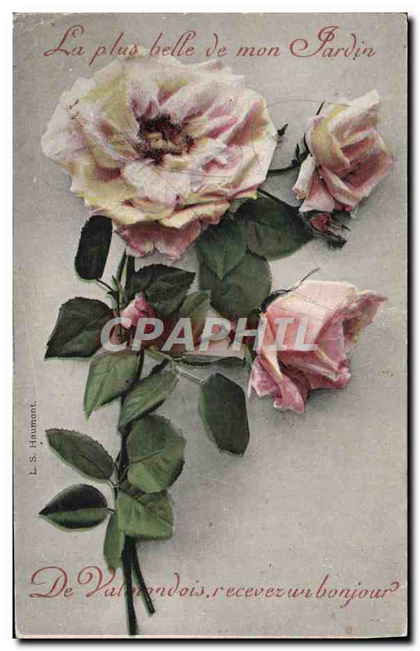 CPA Fantaisie Fleurs 