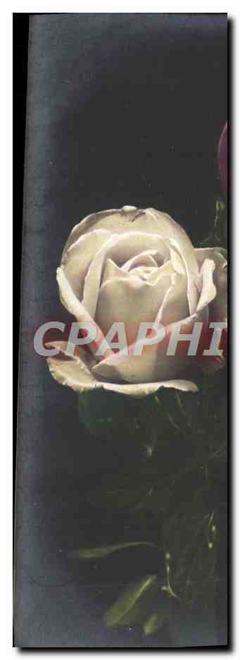 CPA Fantaisie Fleurs 