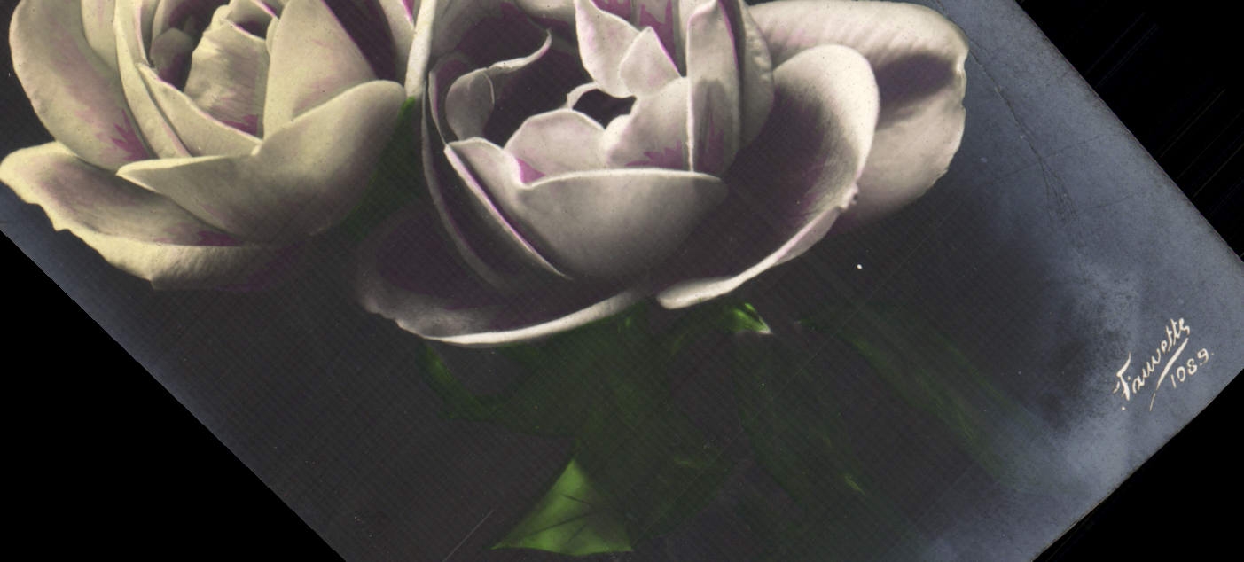 CPA Fantaisie Fleurs 