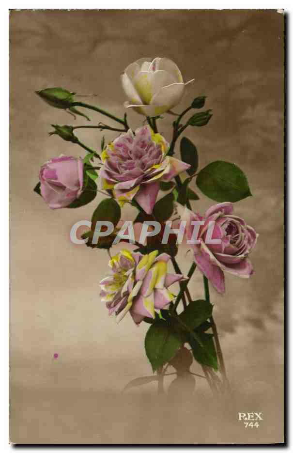 CPA Fantaisie Fleurs 