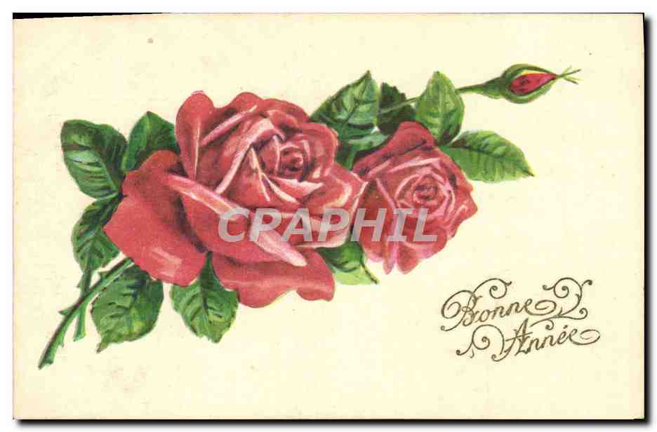 CPA Fantaisie Fleurs 