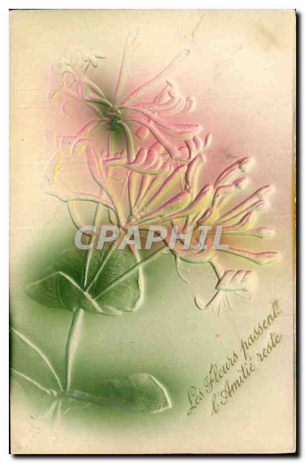 CPA Fantaisie Fleurs 