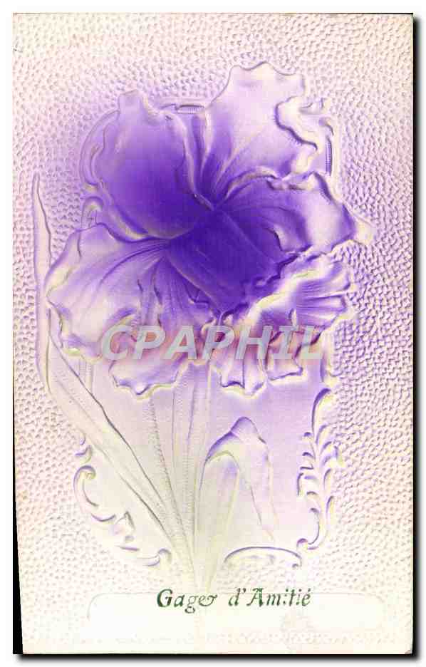 CPA Fantaisie Fleurs 