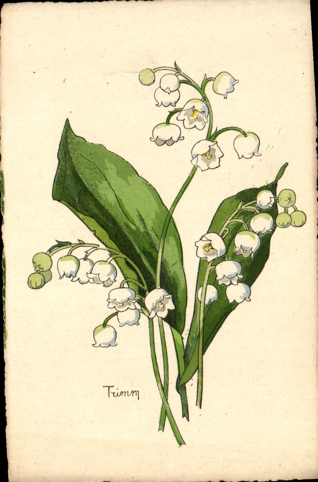 CPA Fantaisie Fleurs Muguet