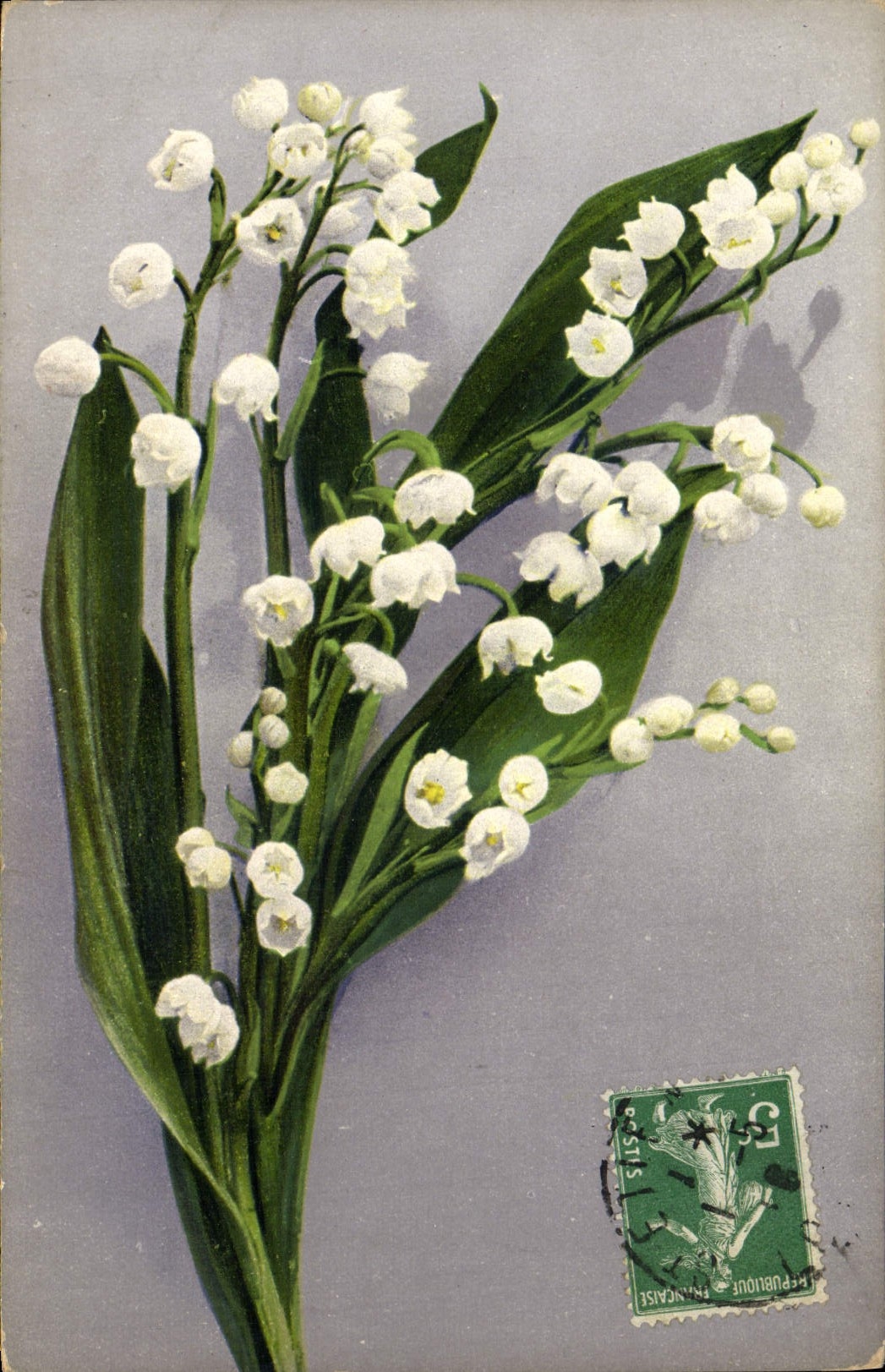 CPA Fantaisie Fleurs Muguet