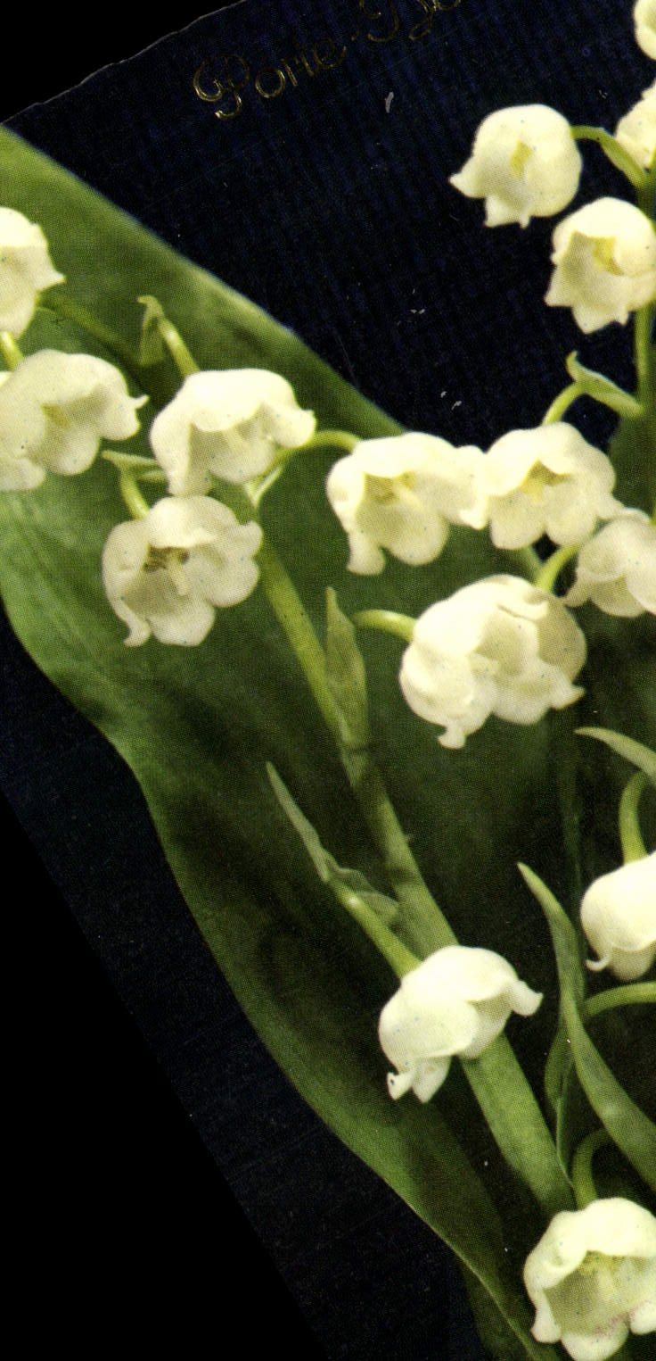 CPM Fantaisie Fleurs Muguet