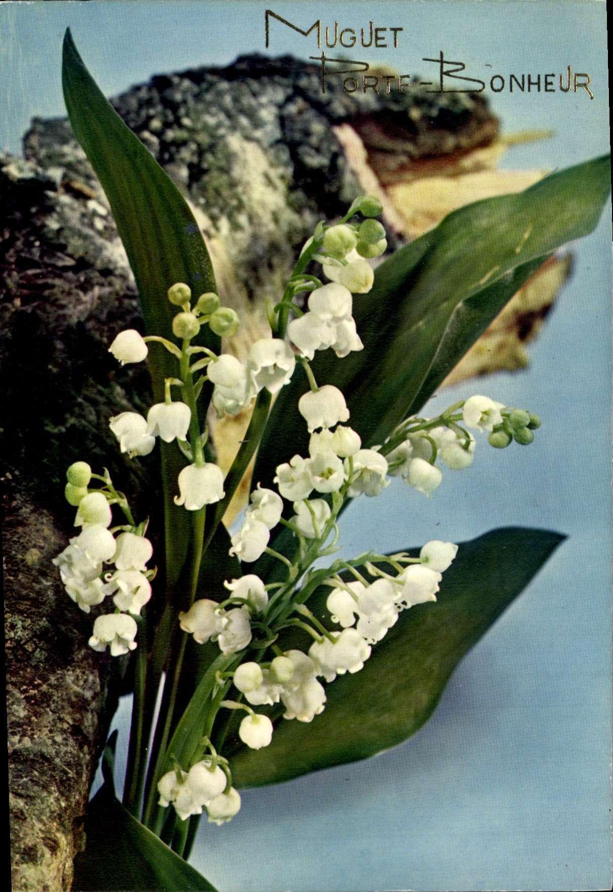 CPM Fantaisie Fleurs Muguet