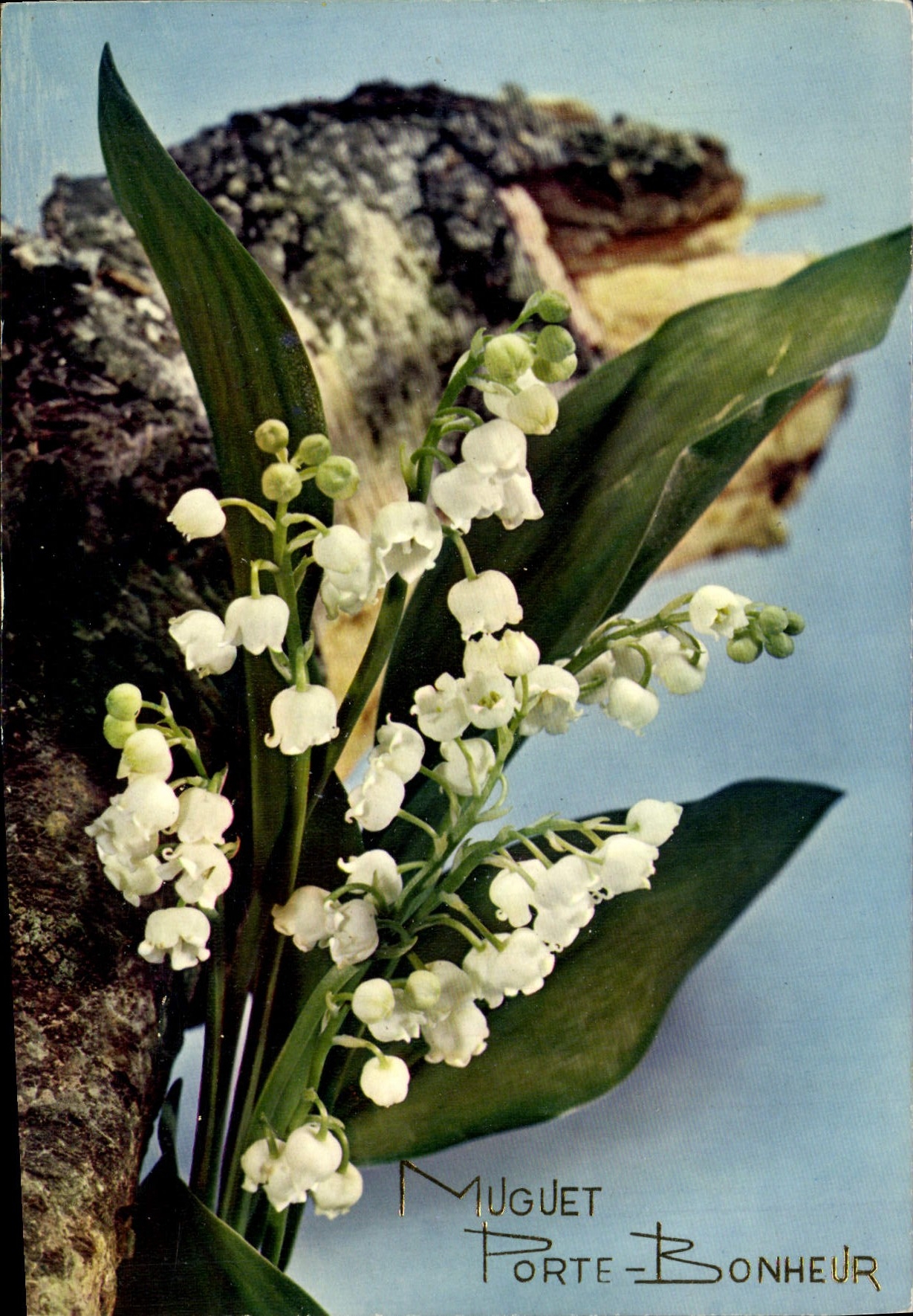CPM Fantaisie Fleurs Muguet