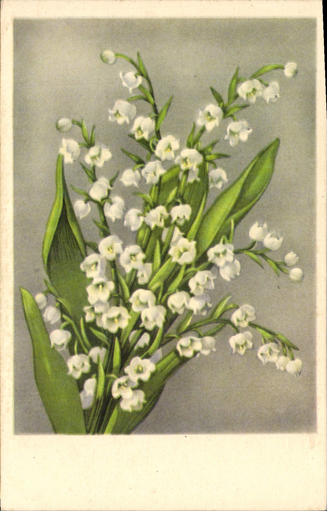 CPA Fantaisie Fleurs Muguet
