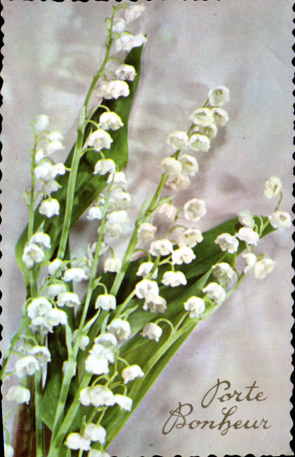 CPM Fantaisie Fleurs Muguet