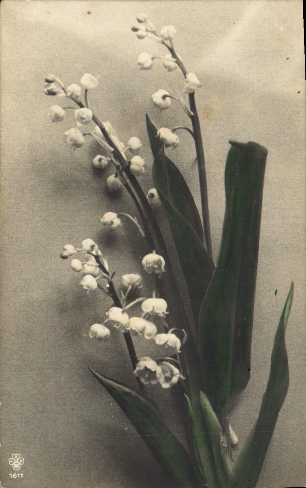 CPA Fantaisie Fleurs Muguet