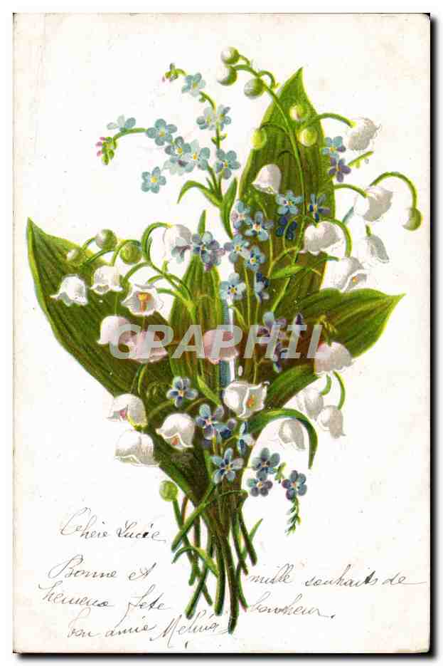 CPA Fantaisie Fleurs Muguet