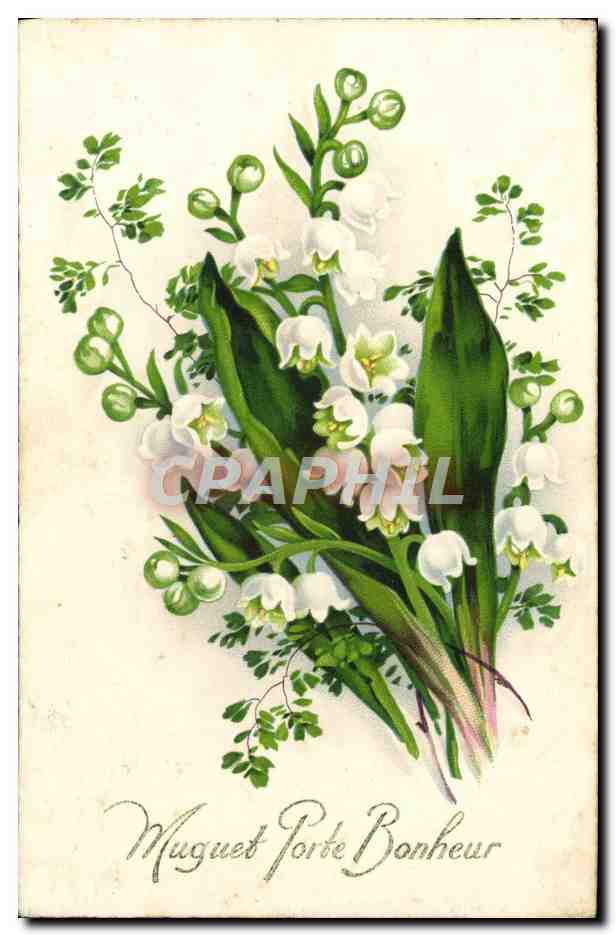 CPA Fantaisie Fleurs Muguet