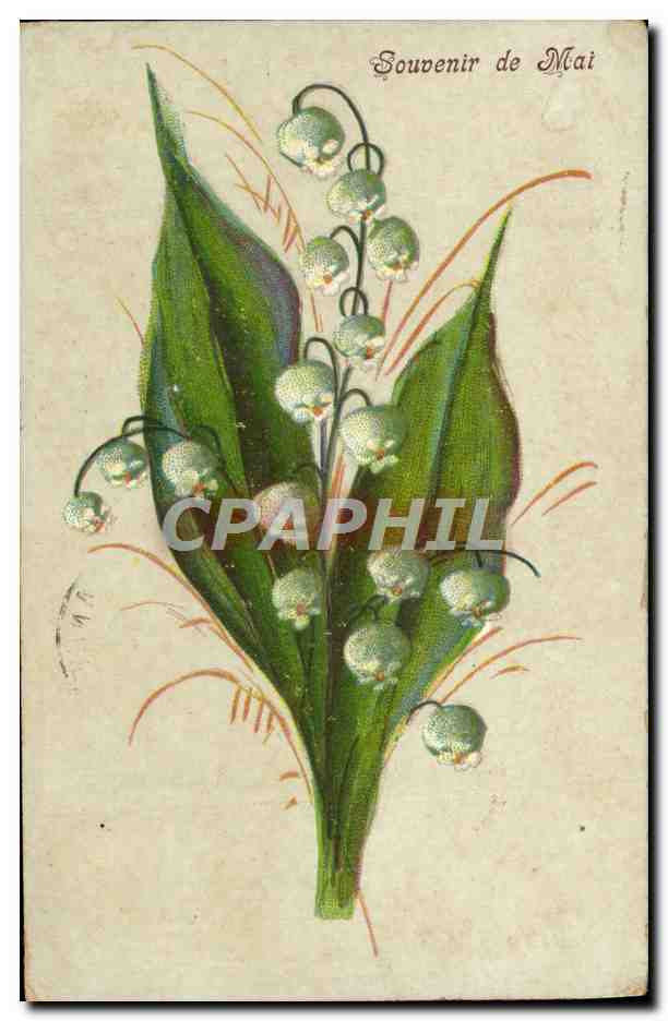 CPA Fantaisie Fleurs Muguet