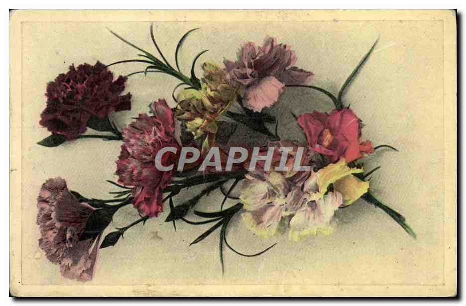 CPA Fantaisie Fleurs 