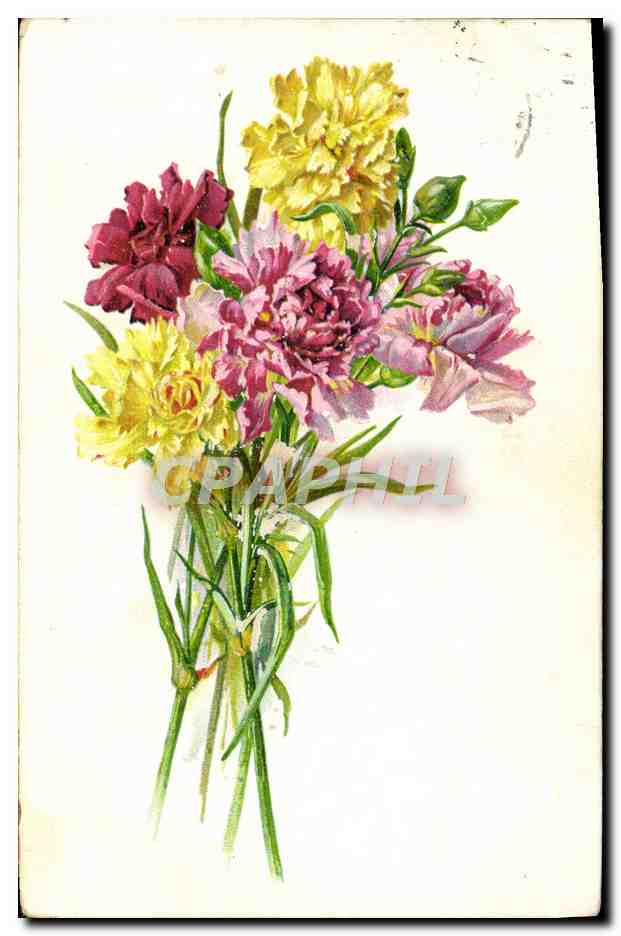 CPA Fantaisie Fleurs 
