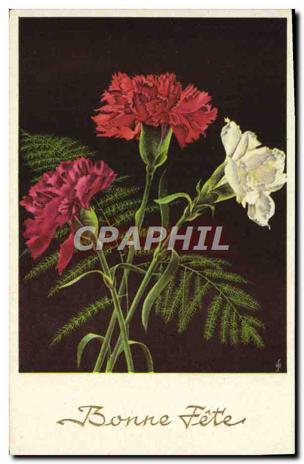 CPA Fantaisie Fleurs 