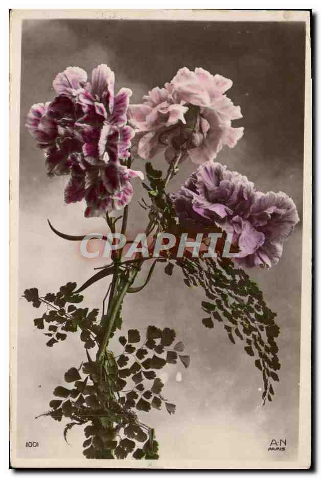 CPA Fantaisie Fleurs 