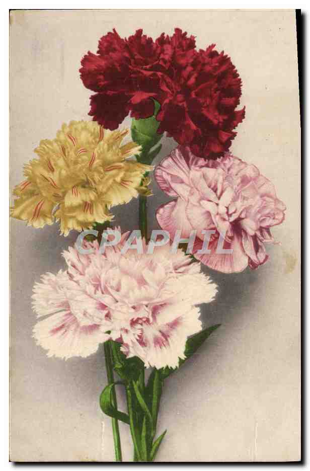 CPA Fantaisie Fleurs 