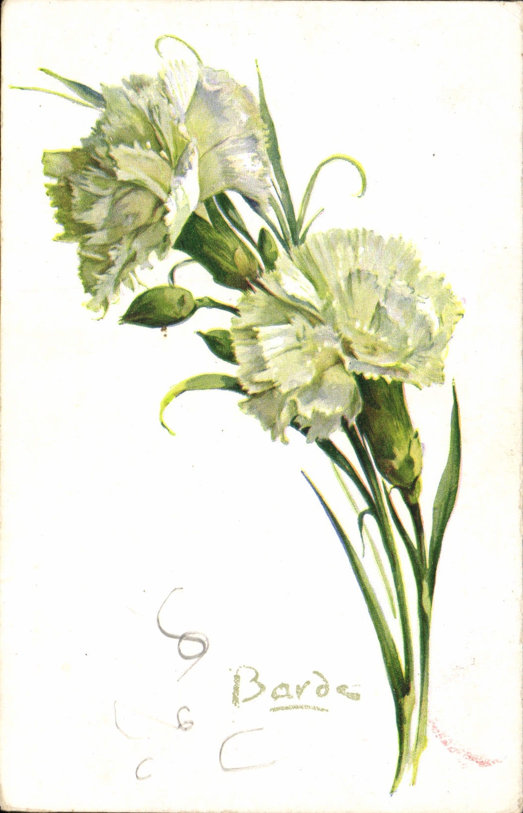 CPA Fantaisie Fleurs 