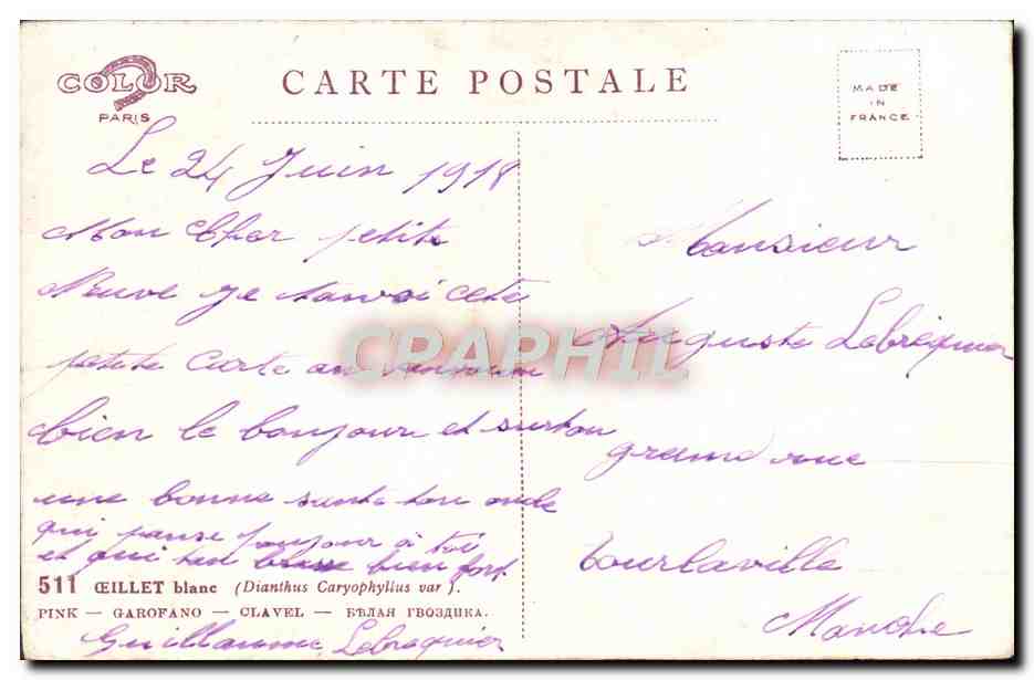 CPA Fantaisie Fleurs  — Verso