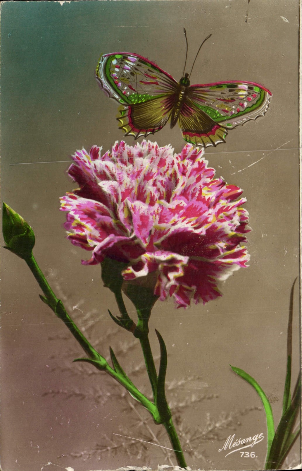 CPA Fantaisie Fleurs Papillon 