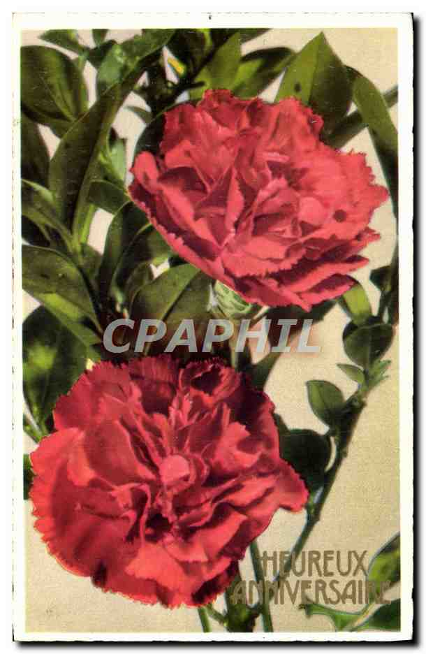 CPA Fantaisie Fleurs 
