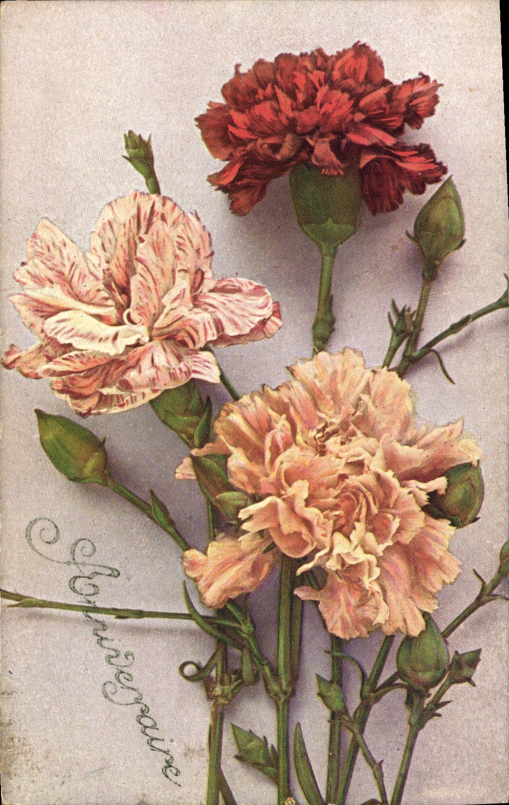 CPA Fantaisie Fleurs 