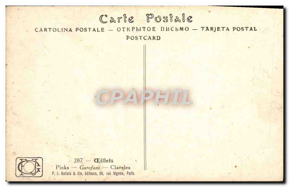 CPA Fantaisie Fleurs  — Verso